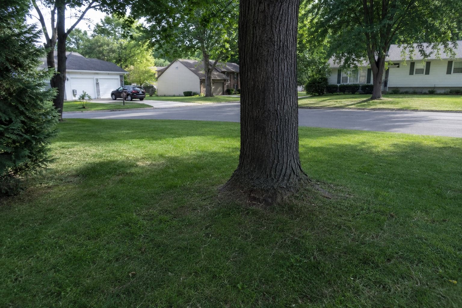 A cleared front yard after storm and tree debris cleanup by First Class Property Services